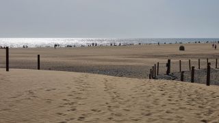 2023-GC--Mapalomas dunas-S123-271.jpg